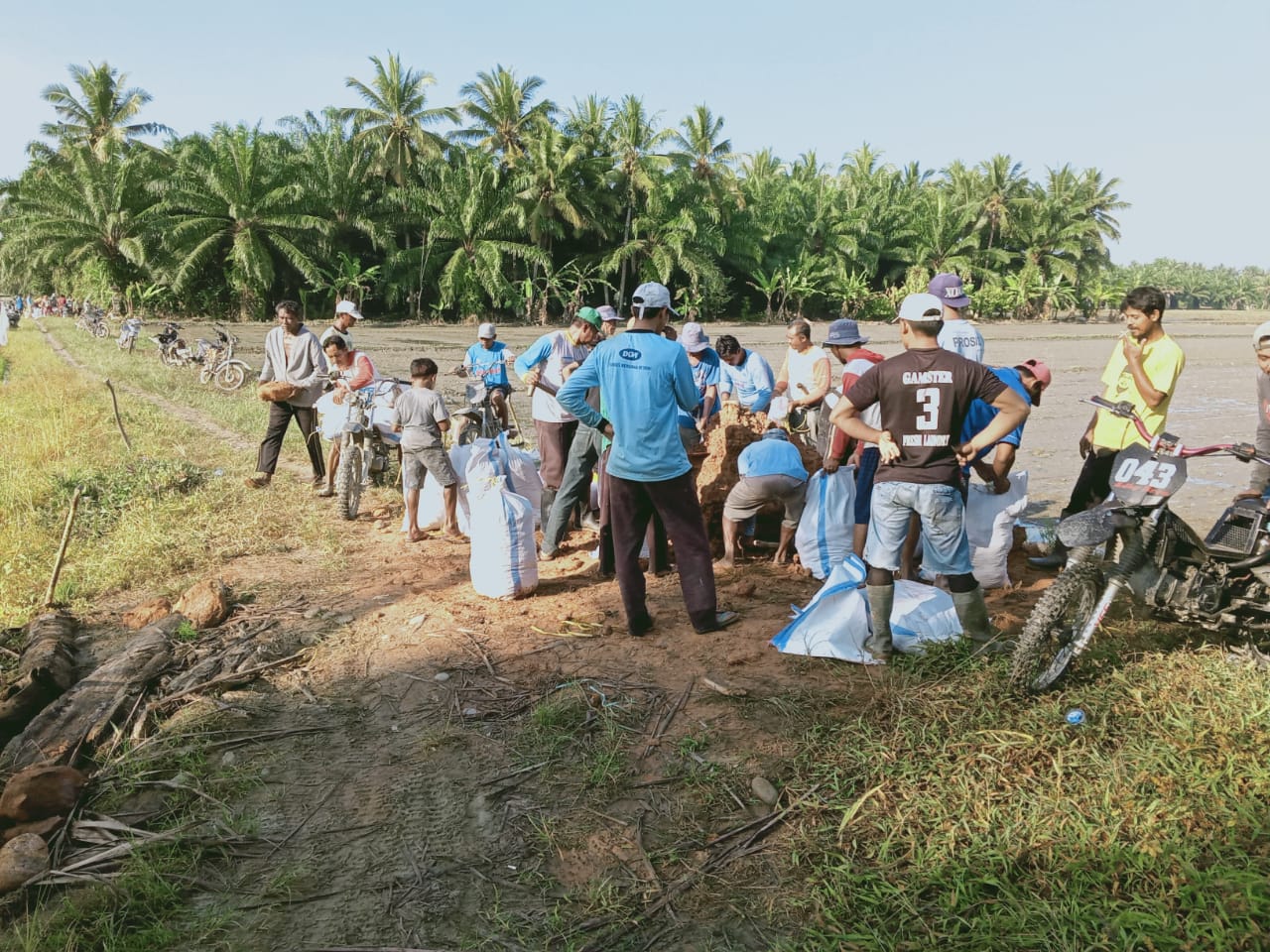 Gotong Royong Pembuatan Tanggul di Desa Mekar Jaya Tondok
